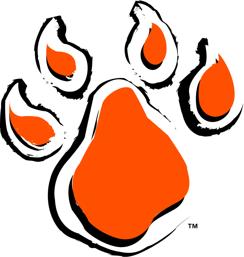Sam Houston State Bearkats 2001-2020 Secondary Logo v2 diy iron on heat transfer